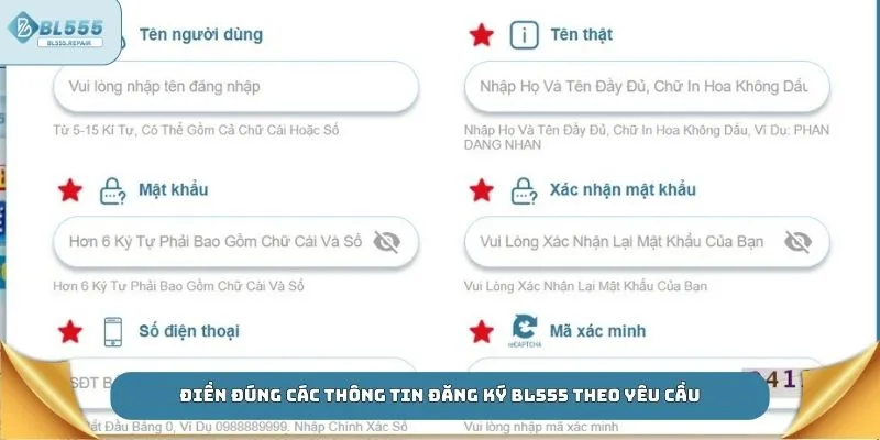 Điền đúng các thông tin đăng ký BL555 theo yêu cầu