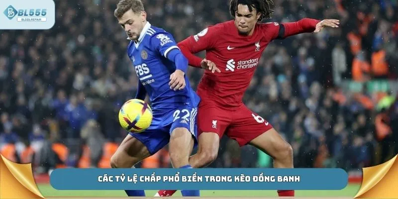 Các tỷ lệ chấp phổ biến trong kèo đồng banh