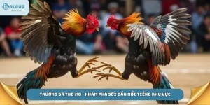 Trường gà tho mo